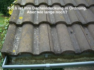 noch in Ordnung klein