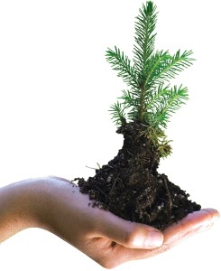 CHEP_Lean & Green