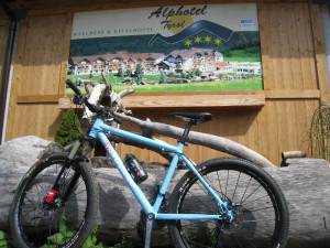 bergziege-test_1000-1000