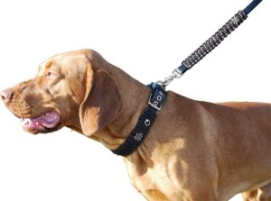 Hundehalsband Leder