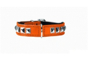 Hundehalsband