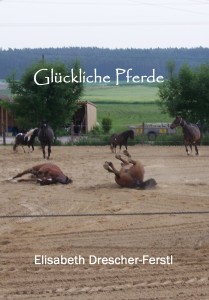 ISBN 978-3-8495-7133-7