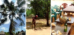 Auf Land und Leute Buschtour in Kenia