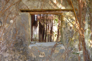 Nosy-Lava-Madagaskar-Gefängnis-Fenster-Ruine_PRIORI-Reisen