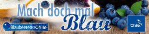 Blaubeere Kochmamsell_neu