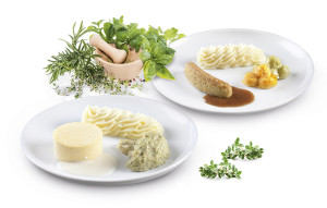 „Optimahl-Vital“ ist ein abwechslungsreiches Ernährungskonzept für Menschen, die an Dysphagie leiden. Quelle: Sander Gourmet