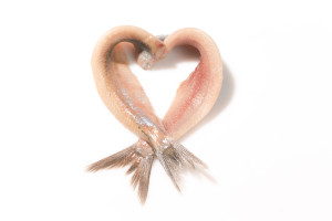 Hollaendisches_Fischbuero_Matjes_Herz