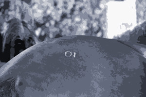 Arbeitgebermarkenbildung