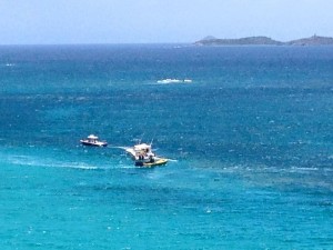 Bluereef Watersports and SeaTow Helped Sinking Passegers