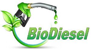 biodiesel-market