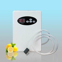 fruit-and-vegetable-detoxification-machine-sales-market