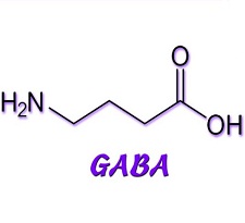 Gamma-Aminobutyric Acid (GABA) Market
