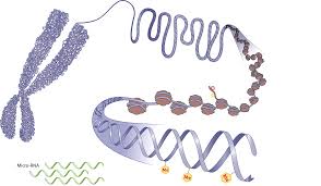 global-epigenetics-market