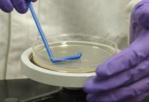 global-food-microbiology-and-safety-equipment-market