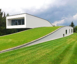 green-roof-market