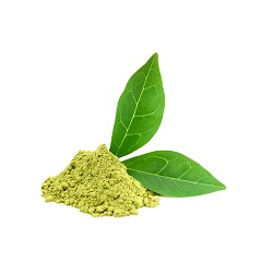 green-tea-extract-sales-market