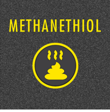 methanethiol Market