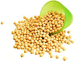 pea-protein-isolate-market