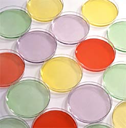 petri-dishes-market