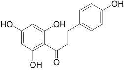 phloretin-market-1