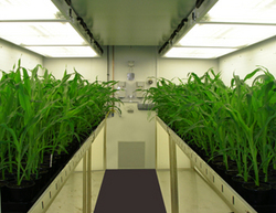 plant-growth-chamber-market