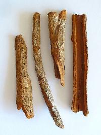pygeum-bark-africanum-p-e-market