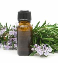 rosemary-extract-market