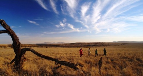 Gehen Sie mit Reisekontor Schmidt auf Kenia Jubiläum Safari.
