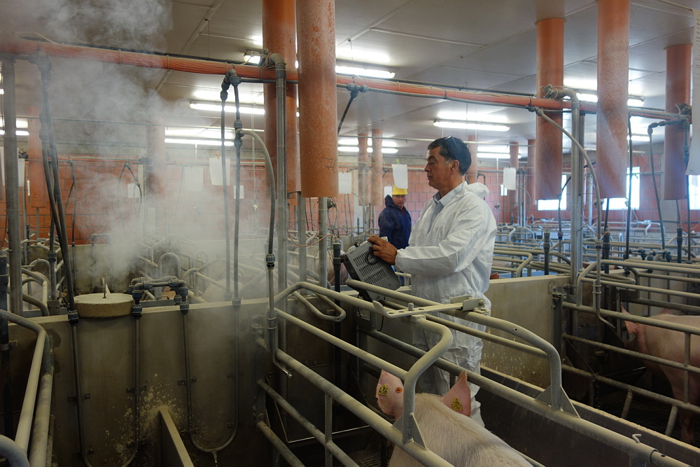 Praktische Übungen unter fachkundiger Anleitung zur Klimaüberprüfung im Schweinestall