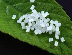 Global Polylactic Acid Market