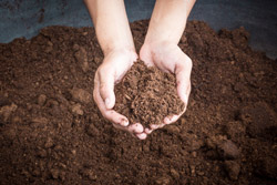 Gartenerde Kompost Mutterboden