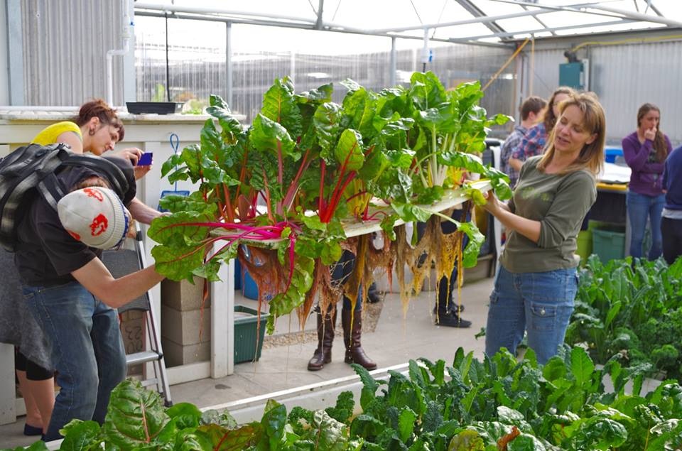 Aquaponics Market