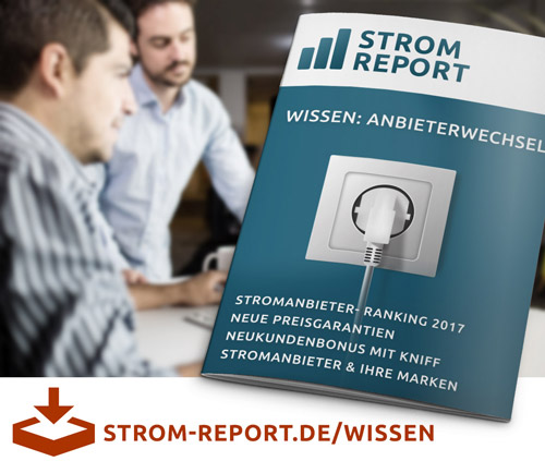 Stromm Report Wissen Anbieterwechsel