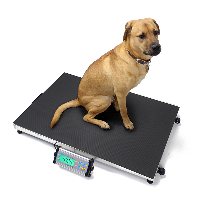 https://www.zionmarketresearch.com/report/veterinary-scales-market