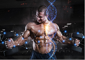 IPH Peptide - Peptidkomplex IPH AGAA