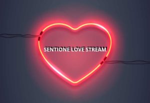 connor-wells-534089-300x206 SentiOne präsentiert den LOVE STREAM 2018