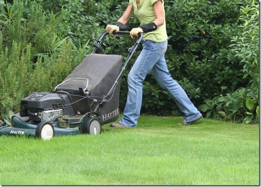 global lawn consumables market