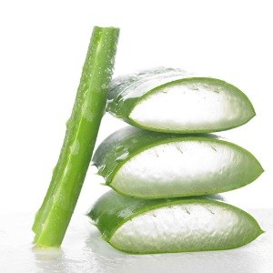global moisturizing agent market