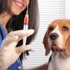 global veterinary vaccine market