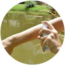 Global Insect Repellent Market