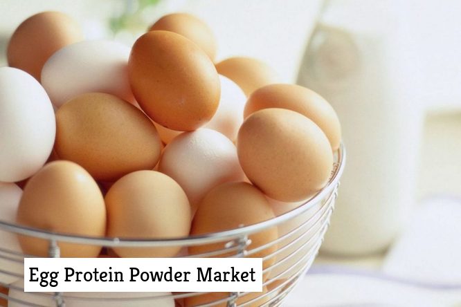 Egg Protein Powder Market,