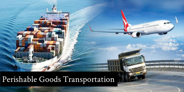 Perishable Goods Transportation Market,