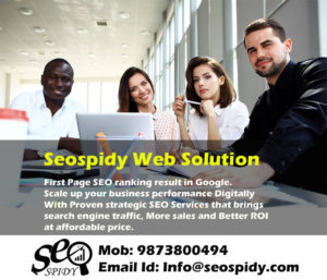 seospidy- seo services company in delhi
