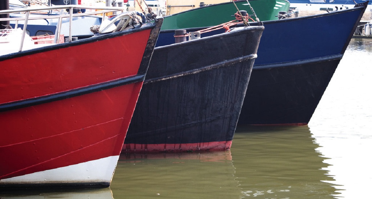 Antifouling Coatings