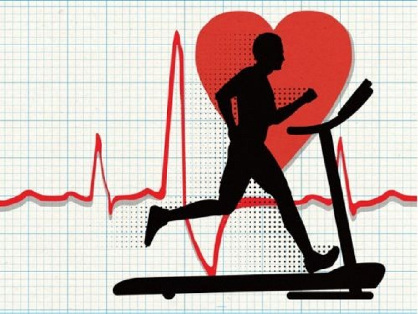 Cardiac Rehabilitation Industry