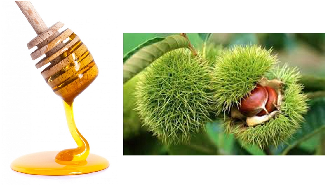 Chestnut Honey