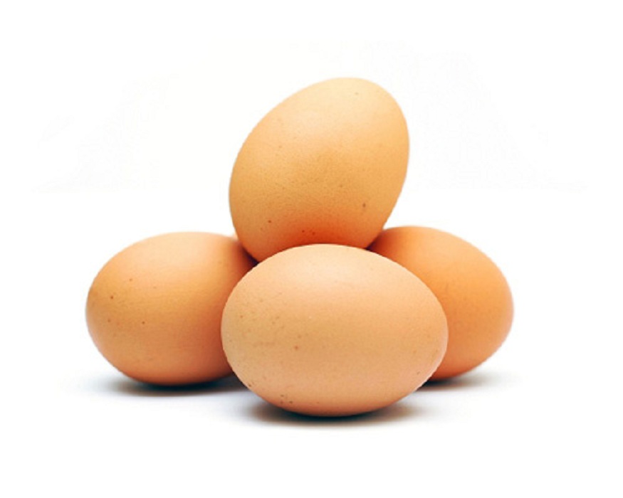 Egg Protein