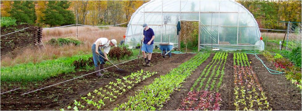 Fruits Vegetables Crop Protection Industry