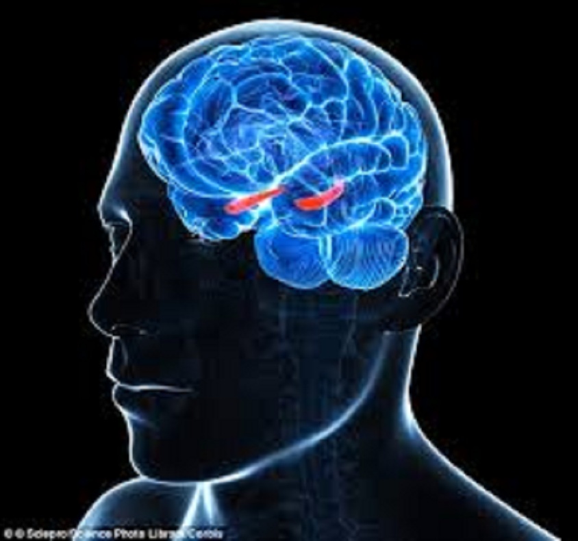 Head Cancer Diagnostics