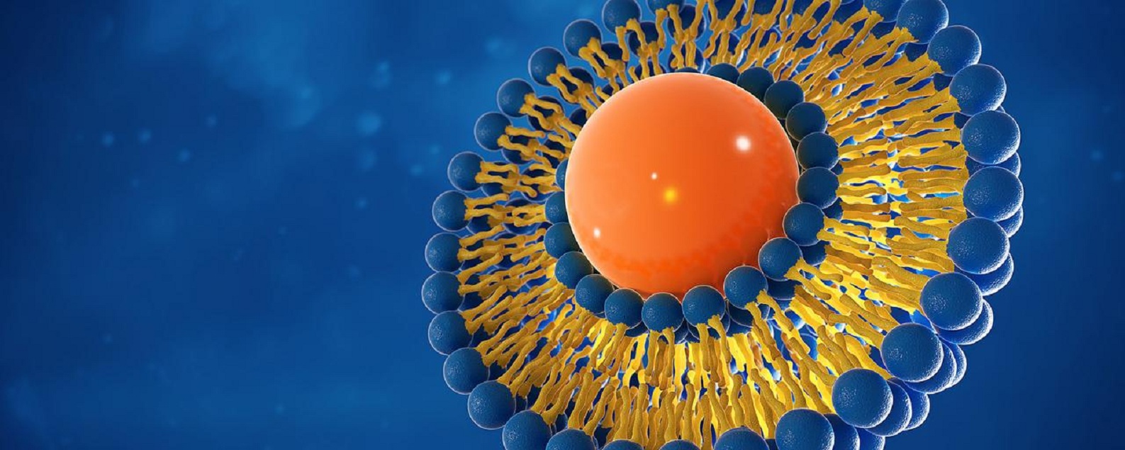 Liposome Drug Delivery